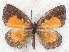  ( - MLIB-2205)  @11 [ ] CreativeCommons - Attribution Non-Commercial Share-Alike (2017) Michel Libert Centre for Biodiversity Genomics