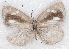  ( - MLIB-2219)  @12 [ ] CreativeCommons - Attribution Non-Commercial Share-Alike (2017) Michel Libert Centre for Biodiversity Genomics