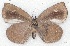  ( - MLIB-2238)  @11 [ ] CreativeCommons - Attribution Non-Commercial Share-Alike (2017) Michel Libert Centre for Biodiversity Genomics