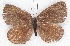  ( - MLIB-2241)  @12 [ ] CreativeCommons - Attribution Non-Commercial Share-Alike (2017) Michel Libert Centre for Biodiversity Genomics