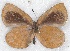  ( - MLIB-2243)  @11 [ ] CreativeCommons - Attribution Non-Commercial Share-Alike (2017) Michel Libert Centre for Biodiversity Genomics