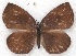  ( - MLIB-2244)  @13 [ ] CreativeCommons - Attribution Non-Commercial Share-Alike (2017) Michel Libert Centre for Biodiversity Genomics