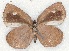  ( - MLIB-2244)  @13 [ ] CreativeCommons - Attribution Non-Commercial Share-Alike (2017) Michel Libert Centre for Biodiversity Genomics