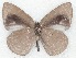  ( - MLIB-2293)  @14 [ ] CreativeCommons - Attribution Non-Commercial Share-Alike (2017) Michel Libert Centre for Biodiversity Genomics