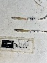  ( - FMNH87660)  @11 [ ] Unspecified (default): All Rights Reserved  Unspecified Unspecified