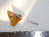  ( - BC-Dec1626)  @12 [ ] Copyright (2010) Unspecified Universite de Rouen, laboratoire ECODIV