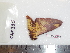  ( - BC-Dec1634)  @12 [ ] Copyright (2010) Unspecified Universite de Rouen, laboratoire ECODIV