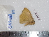  ( - BC-Dec1710)  @12 [ ] Copyright (2010) Unspecified Universite de Rouen, laboratoire ECODIV