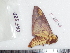  ( - BC-Dec1719)  @12 [ ] Copyright (2010) Unspecified Universite de Rouen, laboratoire ECODIV