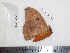 ( - BC-Dec1748)  @12 [ ] Copyright (2010) Unspecified Universite de Rouen, laboratoire ECODIV