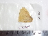  ( - BC-Dec1751)  @13 [ ] Copyright (2010) Unspecified Universite de Rouen, laboratoire ECODIV