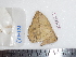  ( - BC-Dec1752)  @12 [ ] Copyright (2010) Unspecified Universite de Rouen, laboratoire ECODIV