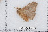  ( - BC-TDMPEG0473)  @12 [ ] Copyright (2012) Rodolphe Rougerie Research Collection of Rodolphe Rougerie