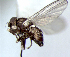  ( - BIOUG24648-G9)  @11 [ ] CreativeCommons - Attribution Non-Commercial Share-Alike (2015) Unspecified Lyman Museum, McGill University