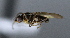  ( - BIOUG24647-E4)  @12 [ ] CreativeCommons - Attribution Non-Commercial Share-Alike (2015) Unspecified Lyman Museum, McGill University