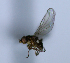 ( - BIOUG24647-E8)  @12 [ ] CreativeCommons - Attribution Non-Commercial Share-Alike (2015) Unspecified Lyman Museum, McGill University