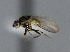 ( - BIOUG24647-H8)  @13 [ ] CreativeCommons - Attribution Non-Commercial Share-Alike (2015) Unspecified Lyman Museum, McGill University