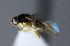  ( - BIOUG24648-C10)  @12 [ ] CreativeCommons - Attribution Non-Commercial Share-Alike (2015) Unspecified Lyman Museum, McGill University
