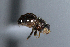  ( - BIOUG24648-E12)  @11 [ ] CreativeCommons - Attribution Non-Commercial Share-Alike (2015) Unspecified Lyman Museum, McGill University