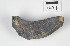  ( - AL-7293)  @11 [ ] Copyright (2018) Kruckenhauser L. Natural History Museum Vienna