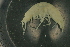  (Pardalisca abyssi - UMBergen_NB_amp63)  @14 [ ] CreativeCommons - Attribution Non-Commercial Share-Alike (2012) Unspecified University of Bergen, Natural History Collections