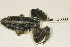  ( - AACRG-2238)  @11 [ ] CreativeCommons - Attribution Non-Commercial Share-Alike (2013) Louis du Preez North-West University