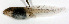  ( - PEM WC10-150)  @11 [ ] CreativeCommons - Attribution Non-Commercial Share-Alike (2012) SAIAB SAIAB