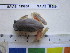  ( - SAIAB RB11-D025)  @12 [ ] CreativeCommons - Attribution Non-Commercial Share-Alike (2012) SAIAB SAIAB