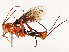  ( - CBG-A62887-A12)  @11 [ ] CreativeCommons - Attribution Share - Alike (2025) CBG Photography Group Centre for Biodiversity Genomics