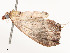  ( - CBG-A62887-F02)  @11 [ ] CreativeCommons - Attribution Share - Alike (2025) CBG Photography Group Centre for Biodiversity Genomics