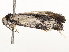  ( - CBG-A62887-F05)  @11 [ ] CreativeCommons - Attribution Share - Alike (2025) CBG Photography Group Centre for Biodiversity Genomics