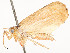  ( - CBG-A62887-G02)  @11 [ ] CreativeCommons - Attribution Share - Alike (2025) CBG Photography Group Centre for Biodiversity Genomics