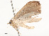  ( - CBG-A62888-C06)  @11 [ ] CreativeCommons - Attribution Share - Alike (2025) CBG Photography Group Centre for Biodiversity Genomics