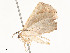  ( - CBG-A62888-C09)  @11 [ ] CreativeCommons - Attribution Share - Alike (2025) CBG Photography Group Centre for Biodiversity Genomics