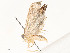  ( - CBG-A62888-F05)  @11 [ ] CreativeCommons - Attribution Share - Alike (2025) CBG Photography Group Centre for Biodiversity Genomics
