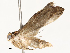  ( - CBG-A62890-A08)  @11 [ ] CreativeCommons - Attribution Share - Alike (2025) CBG Photography Group Centre for Biodiversity Genomics