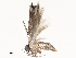  ( - CBG-A62890-E02)  @11 [ ] CreativeCommons - Attribution Share - Alike (2025) CBG Photography Group Centre for Biodiversity Genomics