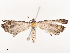  ( - CBG-B19162-B07)  @11 [ ] CreativeCommons - Attribution Share - Alike (2025) CBG Photography Group Centre for Biodiversity Genomics