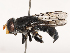  ( - CBG-B19162-E11)  @11 [ ] CreativeCommons - Attribution Share - Alike (2025) CBG Photography Group Centre for Biodiversity Genomics