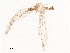  ( - CBG-B19171-H06)  @11 [ ] CreativeCommons - Attribution Share - Alike (2025) CBG Photography Group Centre for Biodiversity Genomics