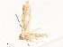  ( - CBG-A62910-C07)  @11 [ ] CreativeCommons - Attribution Share - Alike (2025) CBG Photography Group Centre for Biodiversity Genomics
