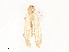  ( - CBG-A62910-E12)  @11 [ ] CreativeCommons - Attribution Share - Alike (2025) CBG Photography Group Centre for Biodiversity Genomics