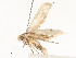  ( - CBG-A62910-F01)  @11 [ ] CreativeCommons - Attribution Share - Alike (2025) CBG Photography Group Centre for Biodiversity Genomics