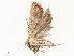  ( - CBG-A62911-C06)  @11 [ ] CreativeCommons - Attribution Share - Alike (2025) CBG Photography Group Centre for Biodiversity Genomics