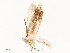  ( - CBG-A62911-C11)  @11 [ ] CreativeCommons - Attribution Share - Alike (2025) CBG Photography Group Centre for Biodiversity Genomics