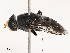  ( - CBG-B19171-E07)  @11 [ ] CreativeCommons - Attribution Share - Alike (2025) CBG Photography Group Centre for Biodiversity Genomics