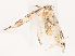 ( - CBG-B19184-E07)  @11 [ ] CreativeCommons - Attribution Share - Alike (2025) CBG Photography Group Centre for Biodiversity Genomics