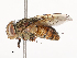 ( - CBG-B00498-B04)  @11 [ ] CreativeCommons - Attribution Share - Alike (2025) CBG Photography Group Centre for Biodiversity Genomics
