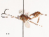  ( - CBG-B00889-H01)  @11 [ ] CreativeCommons - Attribution Share - Alike (2025) CBG Photography Group Centre for Biodiversity Genomics