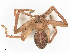  ( - CBG-B00889-H09)  @11 [ ] CreativeCommons - Attribution Share - Alike (2025) CBG Photography Group Centre for Biodiversity Genomics